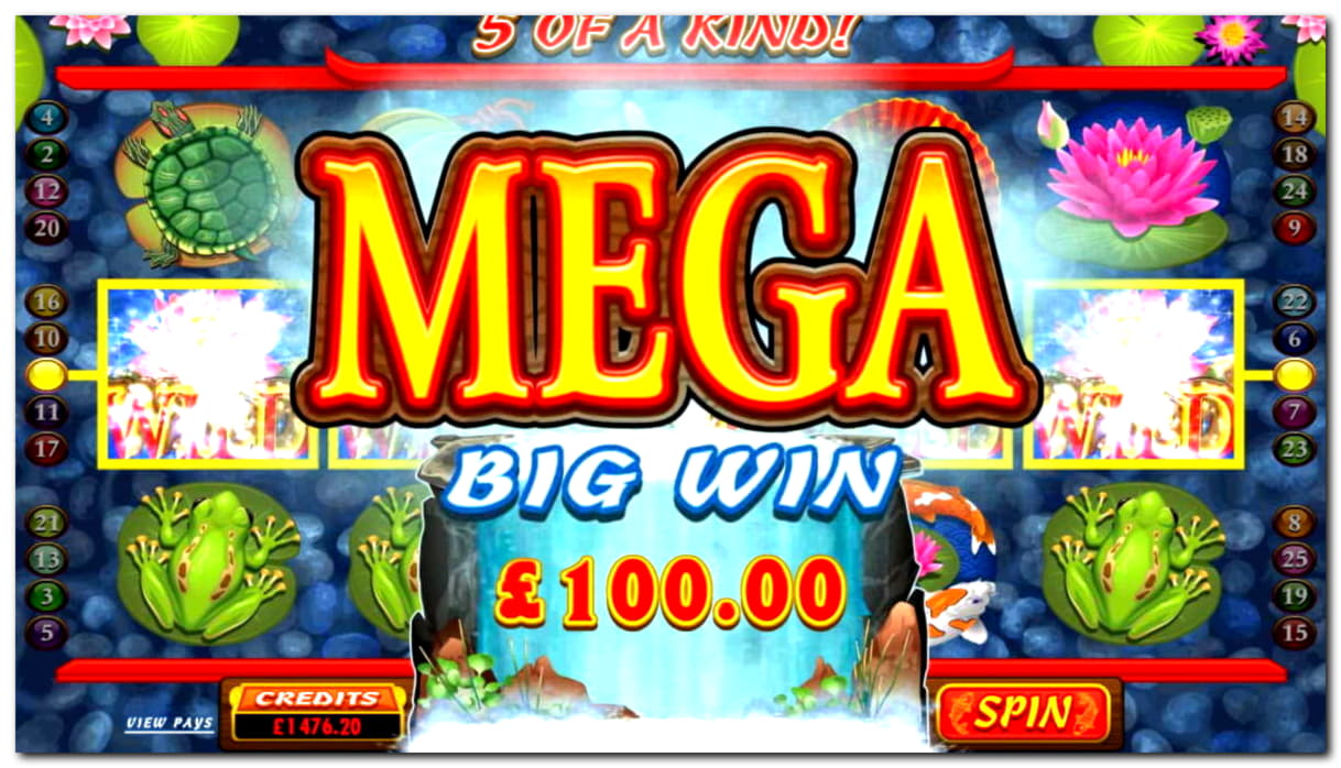 33 Loyalty Free Spins! at Betwinner Casino